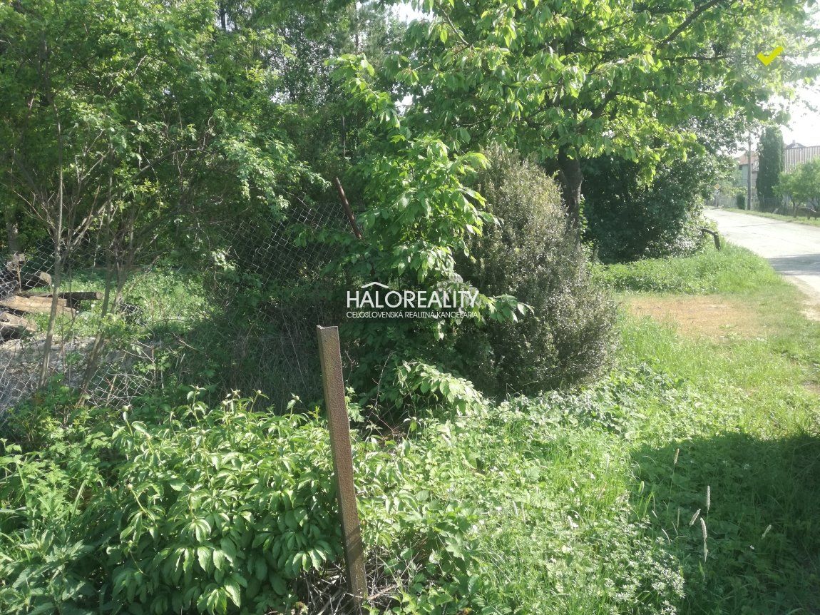 Predaj Pozemok pre RD Pozemok pre RD-Predaj-Ruskov-45000.00 €