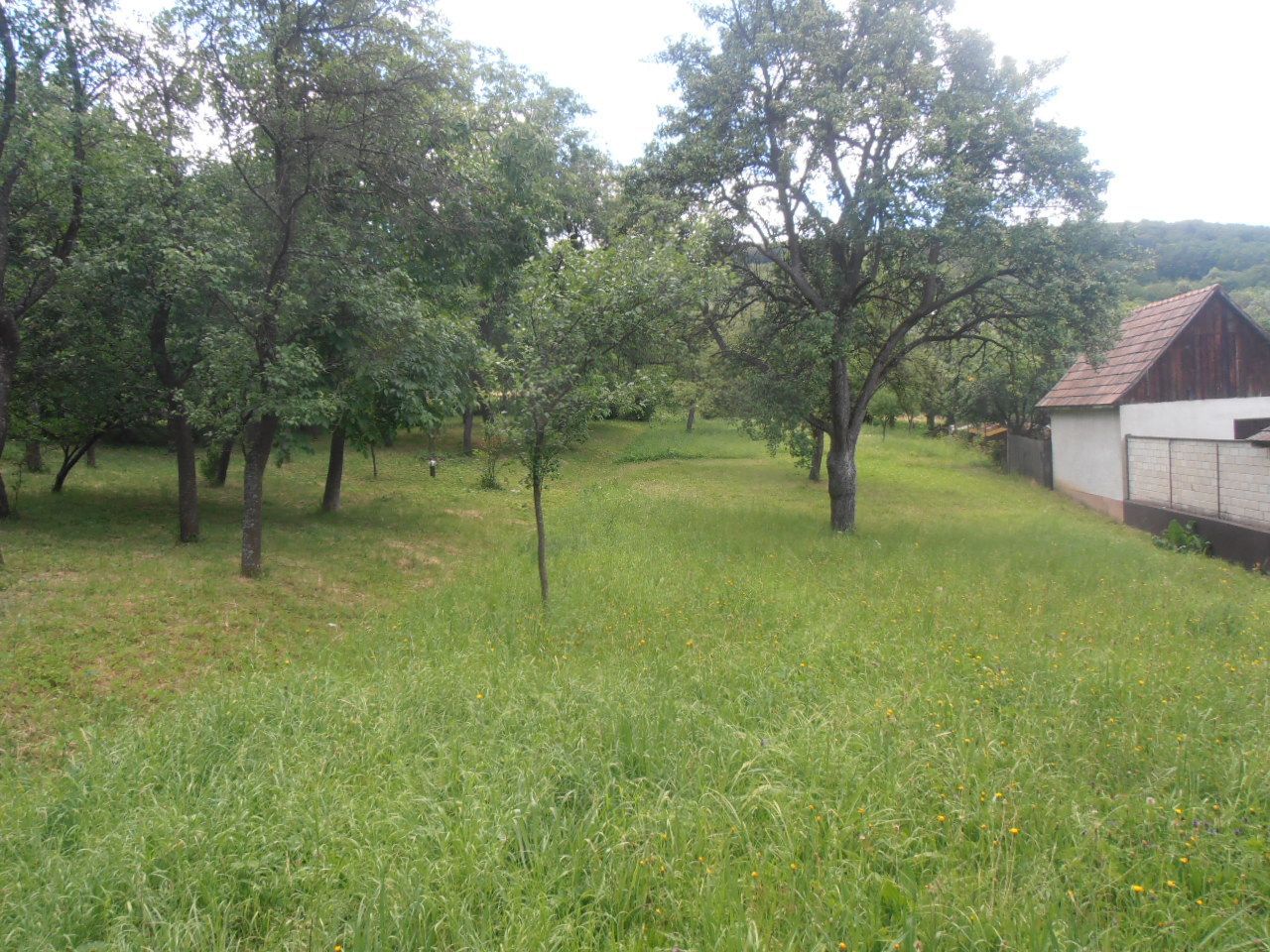 Predaj Pozemok pre RD Pozemok pre RD-Predaj-Bzince pod Javorinou-14000.00 €