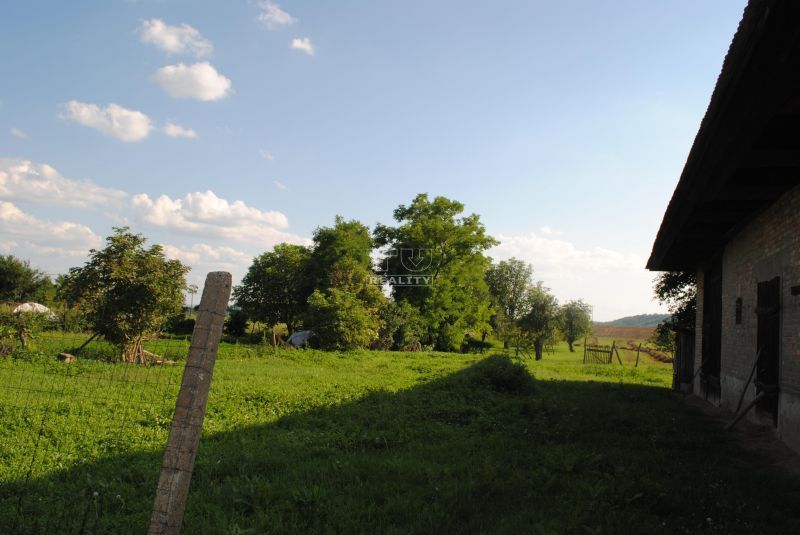 Predaj Iný Iný-Predaj-Želiezovce-46400.00 €