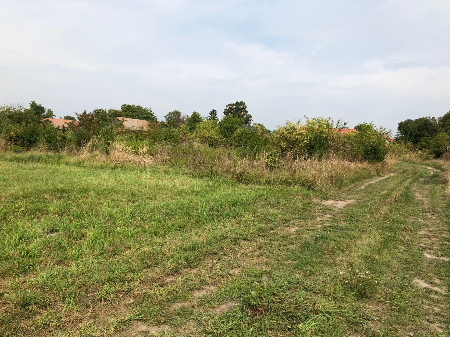 Predaj Záhrada Záhrada-Predaj-Lehnice-55.00 €