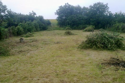 Predaj Priemyselný pozemok Priemyselný pozemok-Predaj-Ružindol-19500.00 €