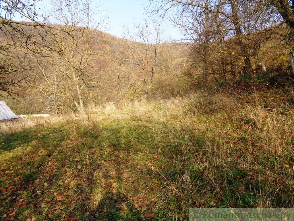 Predaj Pozemok pre RD Pozemok pre RD-Predaj-Lovinobaňa-6.00 €
