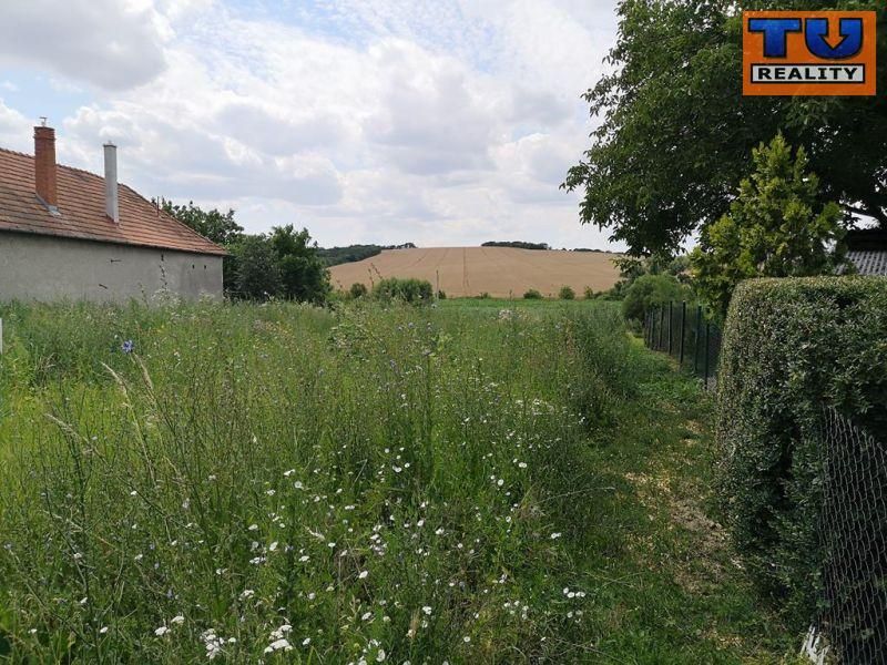 Predaj Pozemok pre RD Pozemok pre RD-Predaj-Beladice-27000.00 €