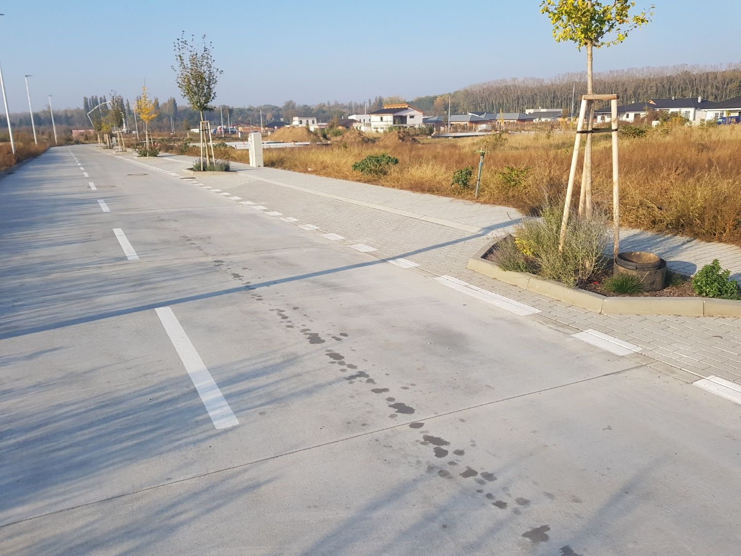 Predaj Pozemok pre RD Pozemok pre RD-Predaj-Trnava-132000.00 €