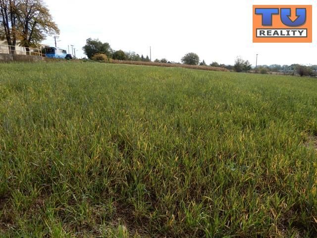 Predaj Pozemok pre RD Pozemok pre RD-Predaj-Veľké Držkovce-14900.00 €