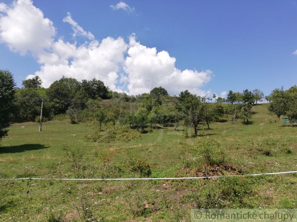 Predaj Pozemok pre RD Pozemok pre RD-Predaj-Krupina-24500.00 €