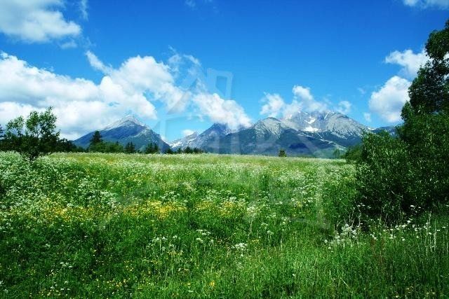 Predaj Pozemok pre RD Pozemok pre RD-Predaj-Stará Lesná-612000.00 €