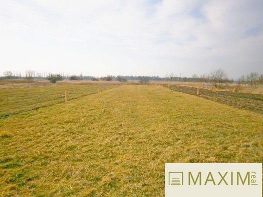 Predaj Pozemok pre RD Pozemok pre RD-Predaj-Gajary-80000.00 €