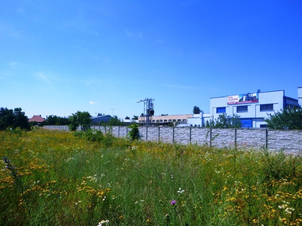 Predaj Priemyselný pozemok Priemyselný pozemok-Predaj-Bernolákovo-197000.00 €