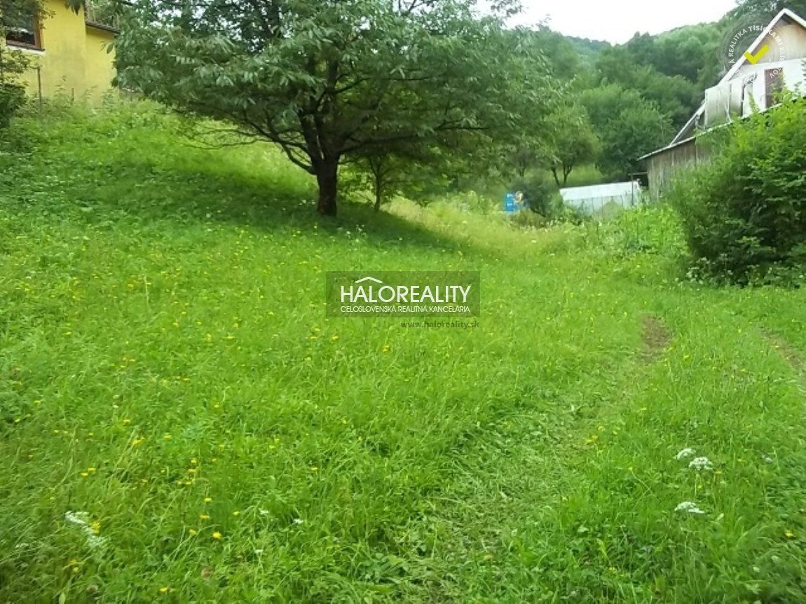 Predaj Pozemok pre RD Pozemok pre RD-Predaj-Vyhne-22000.00 €