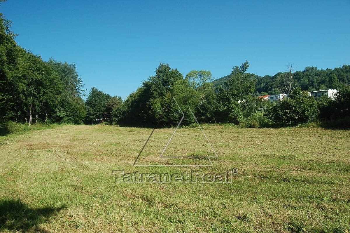 Predaj Pozemok pre RD Pozemok pre RD-Predaj-Snina-16.00 €