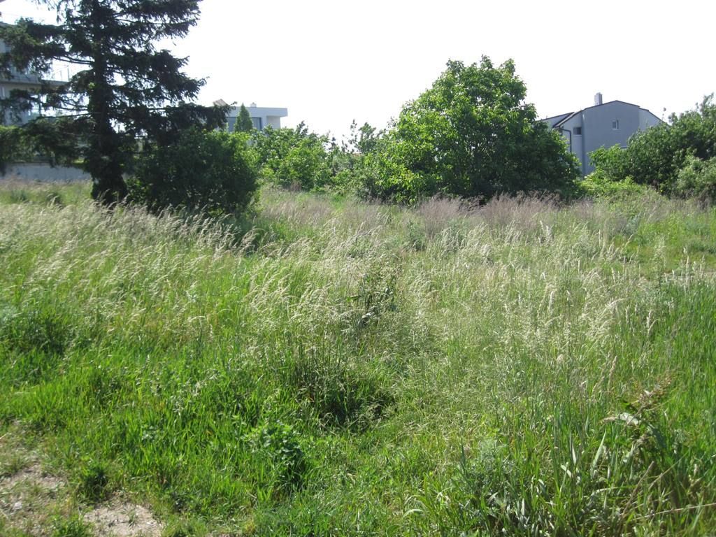 Predaj Pozemok pre RD Pozemok pre RD-Predaj-Bratislava - mestská časť Staré Mesto-750.00 €