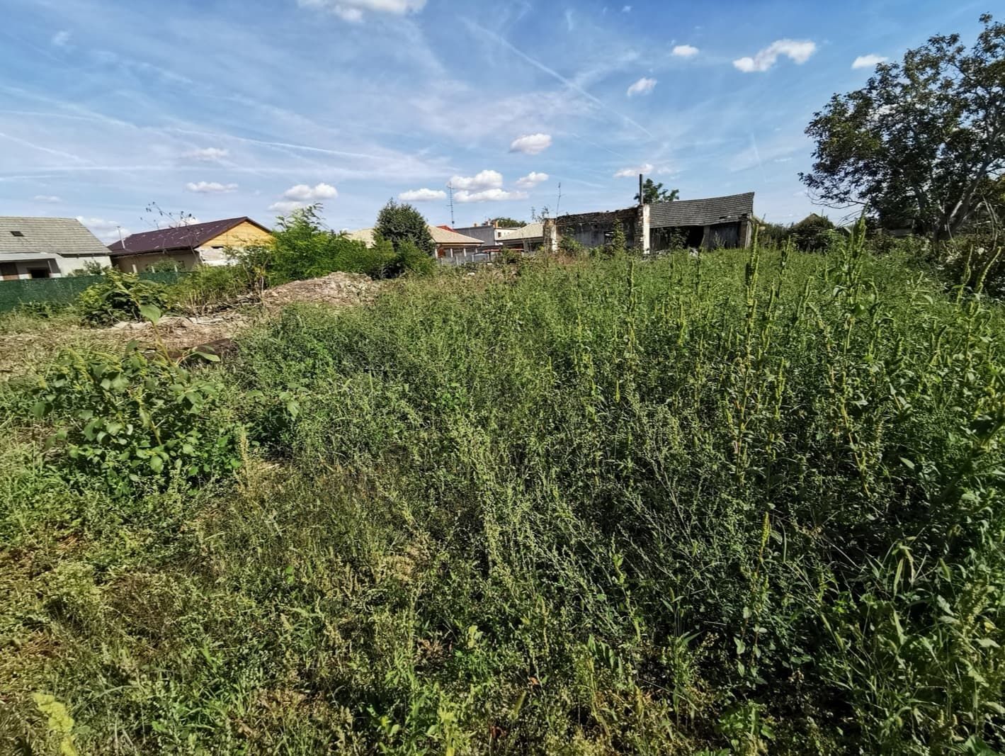 Predaj Pozemok pre RD Pozemok pre RD-Predaj-Komoča-49500.00 €