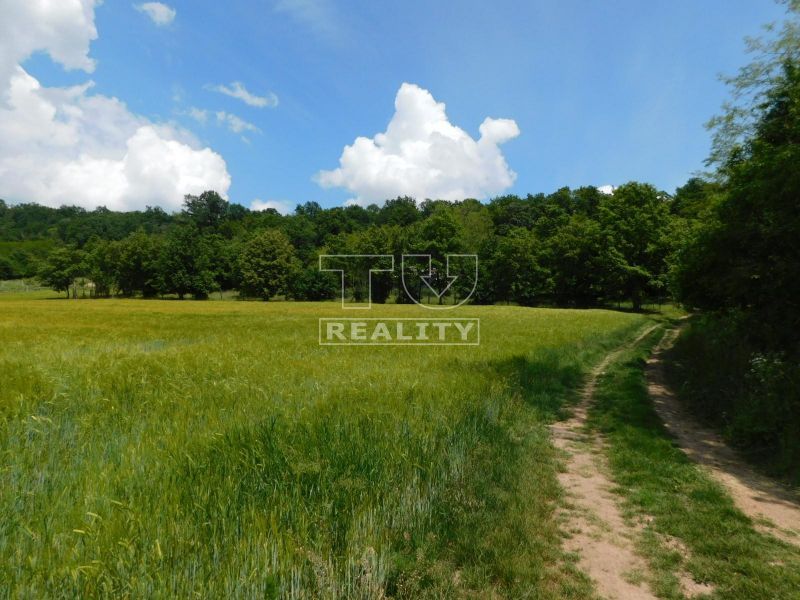 Predaj Záhrada Záhrada-Predaj-Levice-3990.00 €