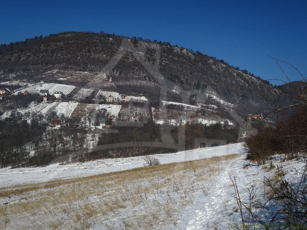 Predaj Záhrada Záhrada-Predaj-Hrušov-20000.00 €