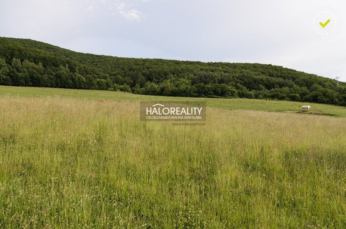 Predaj Rekreačný pozemok Rekreačný pozemok-Predaj-Hrabičov-16500.00 €
