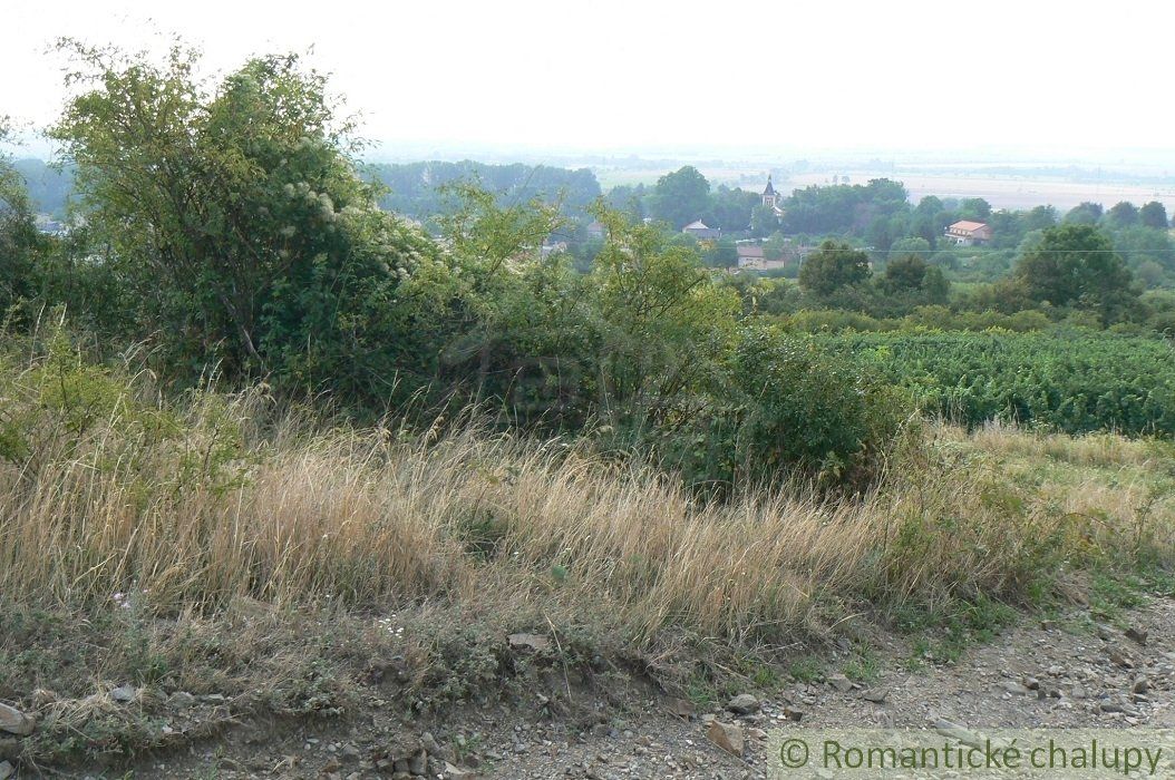 Predaj Rekreačný pozemok Rekreačný pozemok-Predaj-Vinosady-36000.00 €