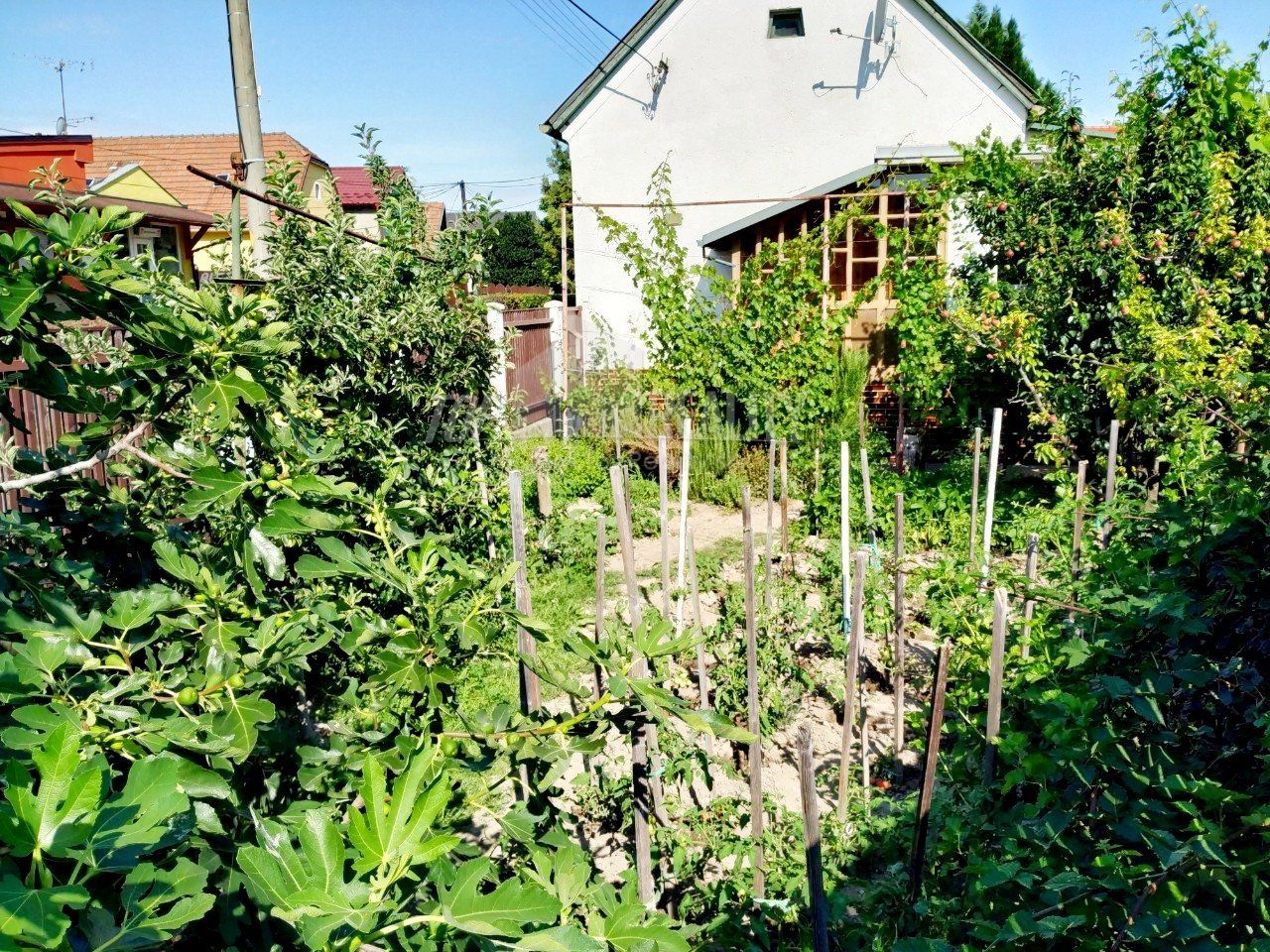 Predaj Rodinný dom Rodinný dom-Predaj-Bratislava - m. č. Podunajské Biskupice-0.00 €