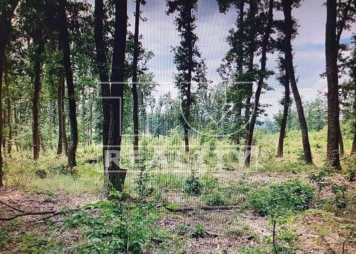 Predaj Lesná pôda Lesná pôda-Predaj-Halič-608814.00 €