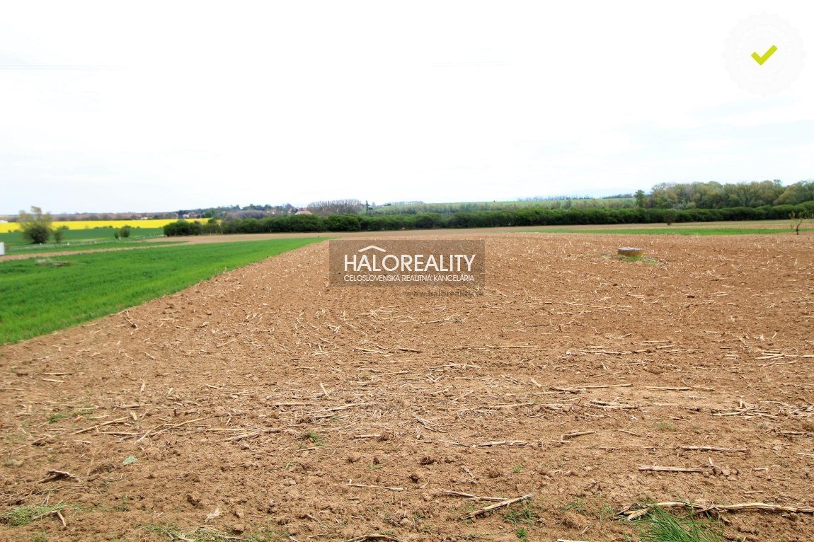 Predaj, pozemok pre rodinný dom 4618 m2 Krtovce - EXKLUZÍVNE HALO REALITY