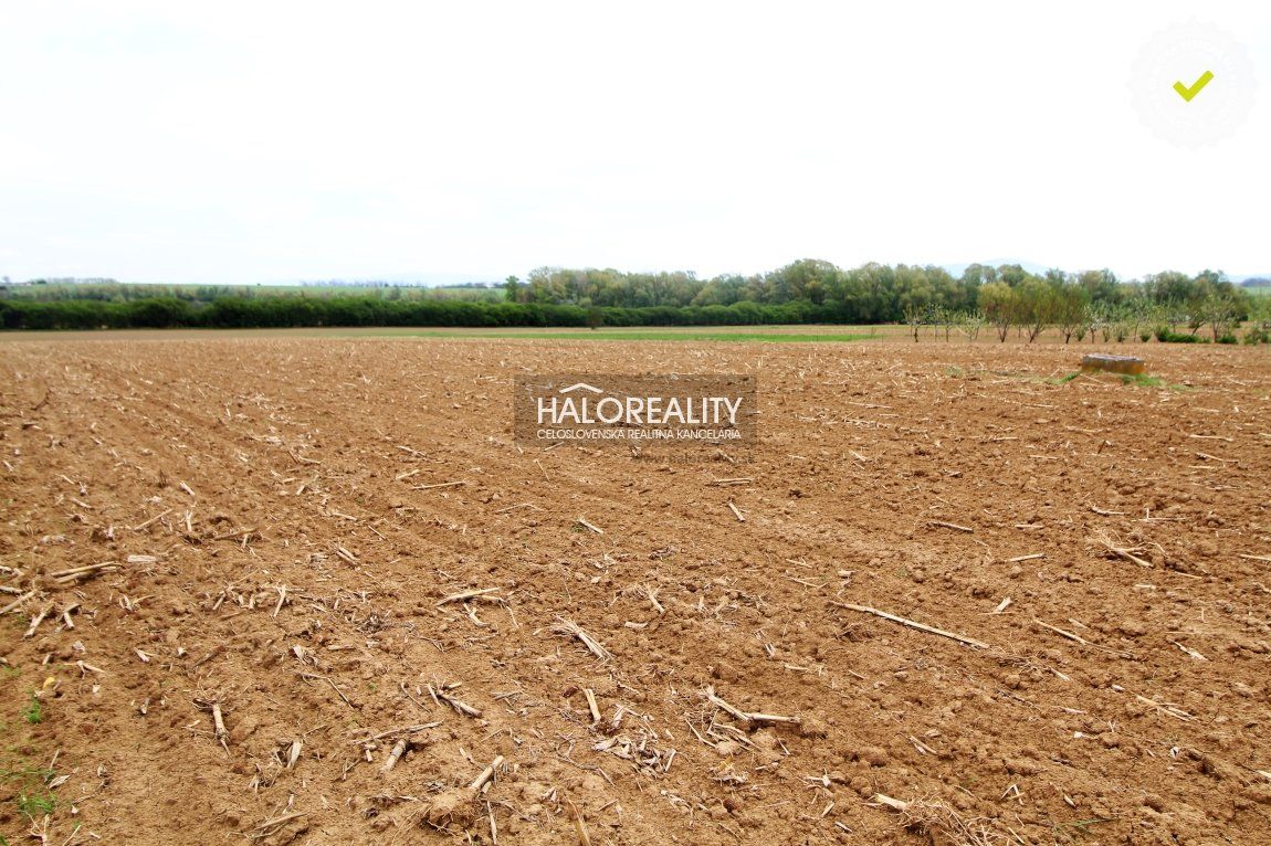Predaj, pozemok pre rodinný dom 4618 m2 Krtovce - EXKLUZÍVNE HALO REALITY