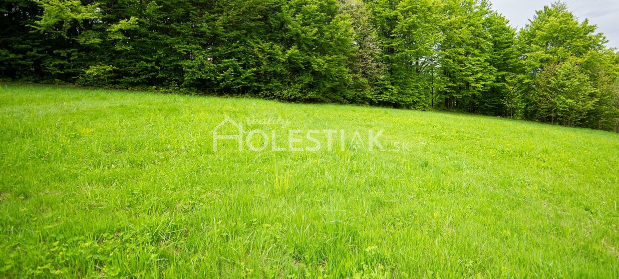 Predaj Ostatné plochy Ostatné plochy-Predaj-Skalité-9.20 €