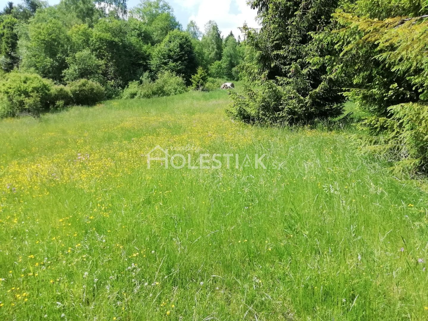 Predaj Ostatné plochy Ostatné plochy-Predaj-Skalité-14.00 €