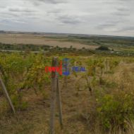 Vinohrad nad Svätým Jurom, lokalita Tepluše - 2040 m2