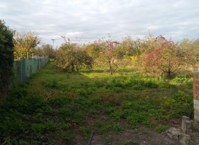 2712 Predáme stavebný pozemok v Andovciach.