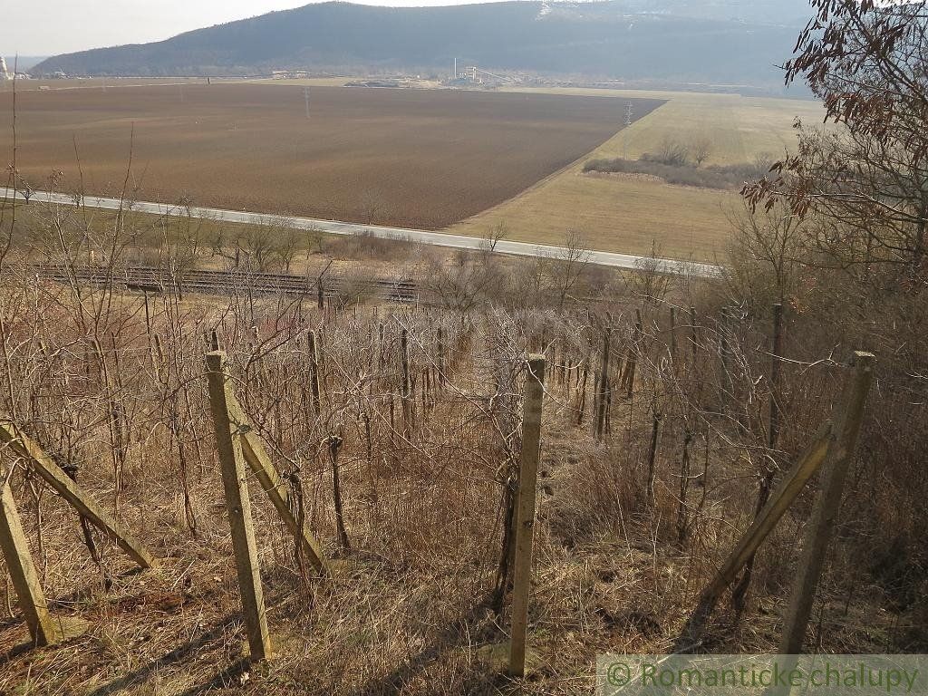 Vinica s chatou neďaleko Zádielskej doliny