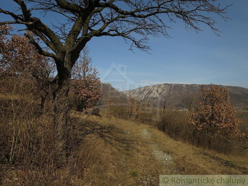 Vinica s chatou neďaleko Zádielskej doliny