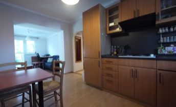 2-izbový byt pri Horskom parku, s balkónom, Jaseňová ul., vhodný pre jednotlivca alebo pár, od 15.08.2023.