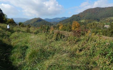 Pozemky v Skubíne na predaj (Banská Bystrica)