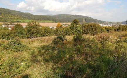Lukratívny pozemok v Skubíne na predaj (Banská Bystrica)