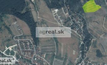 Rekreačný pozemok - vinica - Pezinok Nigle 34.105 m2