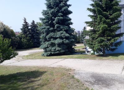 Predáme výrobné a skladové priestory-Veľký Biel