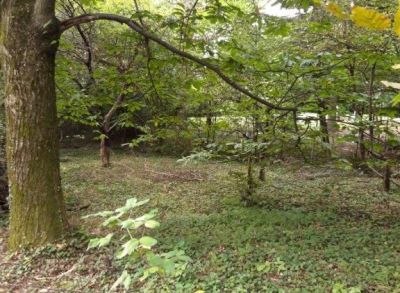 Areté real - Predaj 1196m2 stavebného pozemku v krásnom lesnom prostredí v Modre, Harmónia