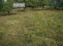 Pozemok pre výstavbu rodinného domu 1 000 m2