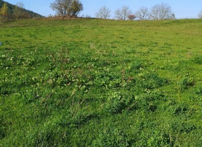 Areté real, Predaj priestranného 1779 m2 stavebného pozemku v obci Slovenská Ľupča