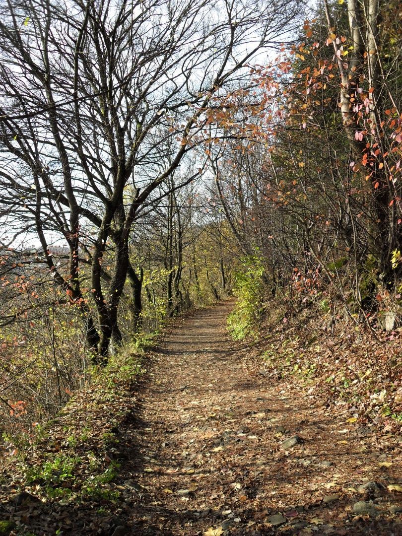 Rodinný dom 5-izb. s pozemkom 970 m2  Kremnica Predaj