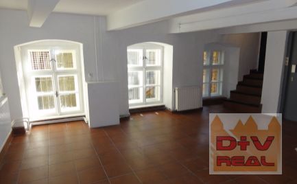 D+V real ponúka na prenájom: polosuterénne priestory, Župné námestie, Bratislava I, pešia zóna, na kancelárie, umelecké aktivity, ochodnú prevádzku - čajoovňa, kaviareň, potraviny,  služby kozmetika,