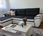 Zariadený 2 izbový byt, 62 m2, balkón, novostavba, Trenčín, ul.Na Zongorke / Villa park