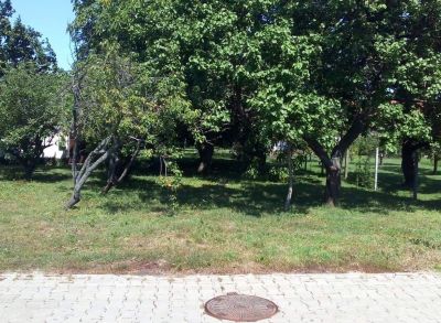 2965 Na predaj pozemok v Ondrochove pri Lipovej