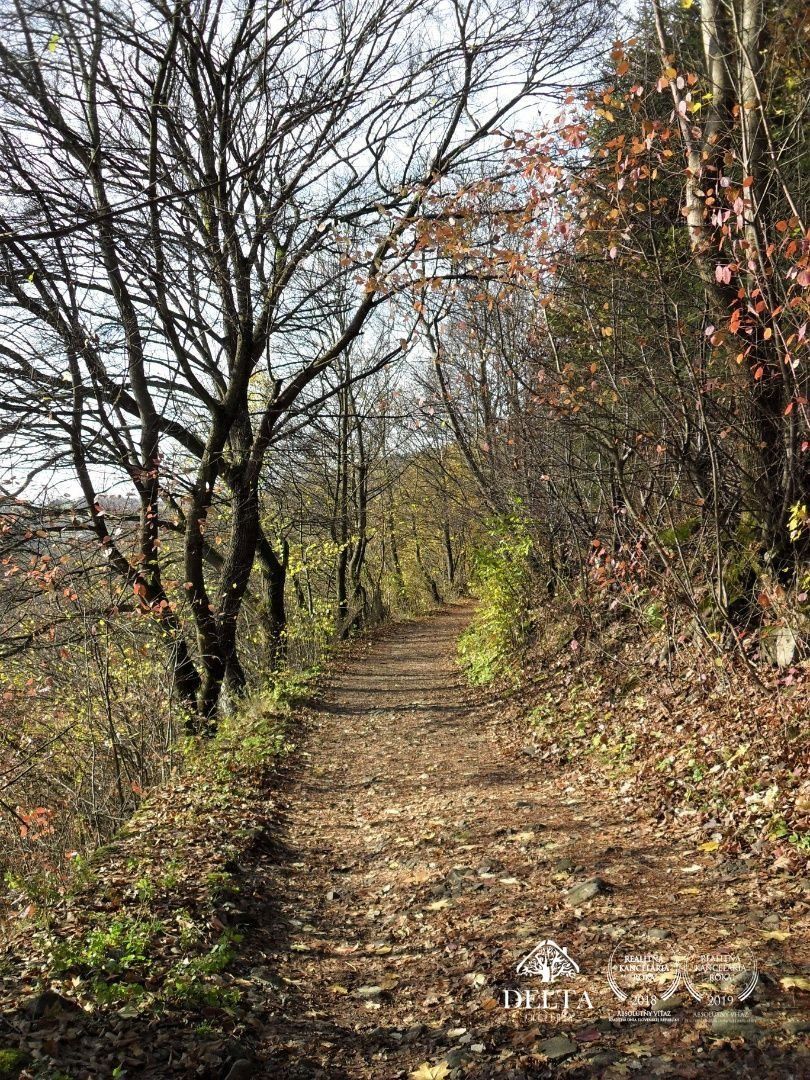 Rodinný dom 5-izb. s pozemkom 970 m2  Kremnica Predaj