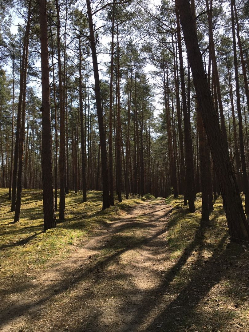 Záhrada v romantickom prostredí v oblasti Tančiboky