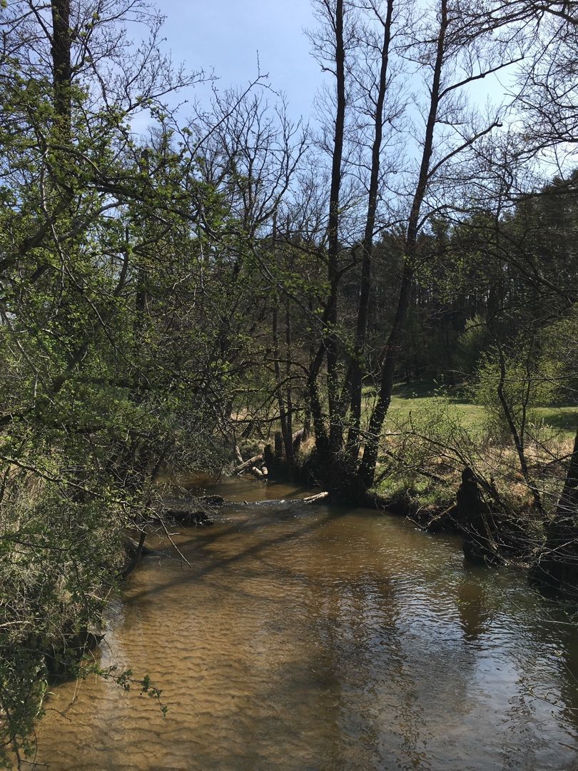 Záhrada v romantickom prostredí v oblasti Tančiboky