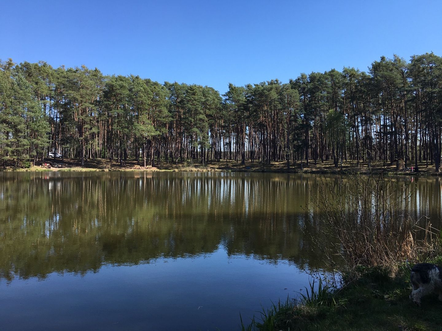 Záhrada v romantickom prostredí v oblasti Tančiboky