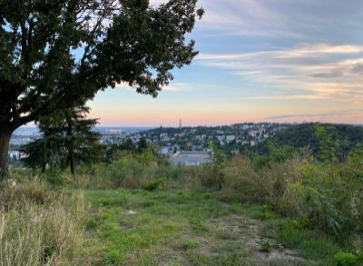 ARETÉ REAL - PREDAJ 1128 m2 STAVEBNÉHO POZEMKU V BRATISLAVE - ČASŤ NOVÉ MESTO, CHRASŤOVÁ