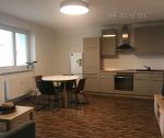 Na prenájom: zrekonštruovaný 3 izbový byt s kuchynským kútom, 68 m2, lodžia, Trenčín / Inovecká ul.