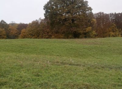 Predám rekreačný pozemok v Hornom Srni